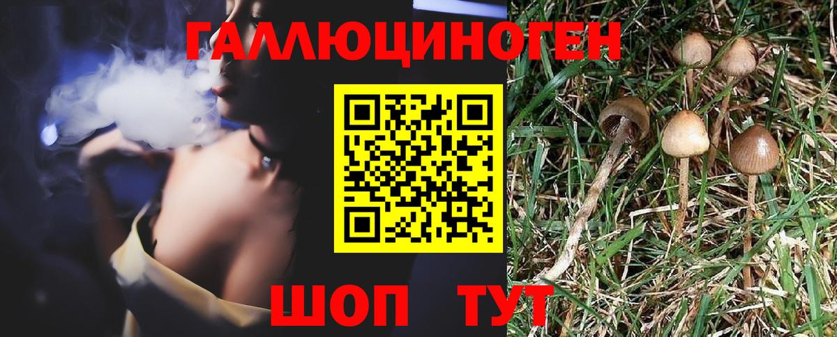 Саяногорск  Псилоцибиновые грибы MAGIC MUSHROOMS  Вход с VPN 